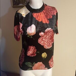 Zara Trafaluc Floral Velvet Short Sleeve Top